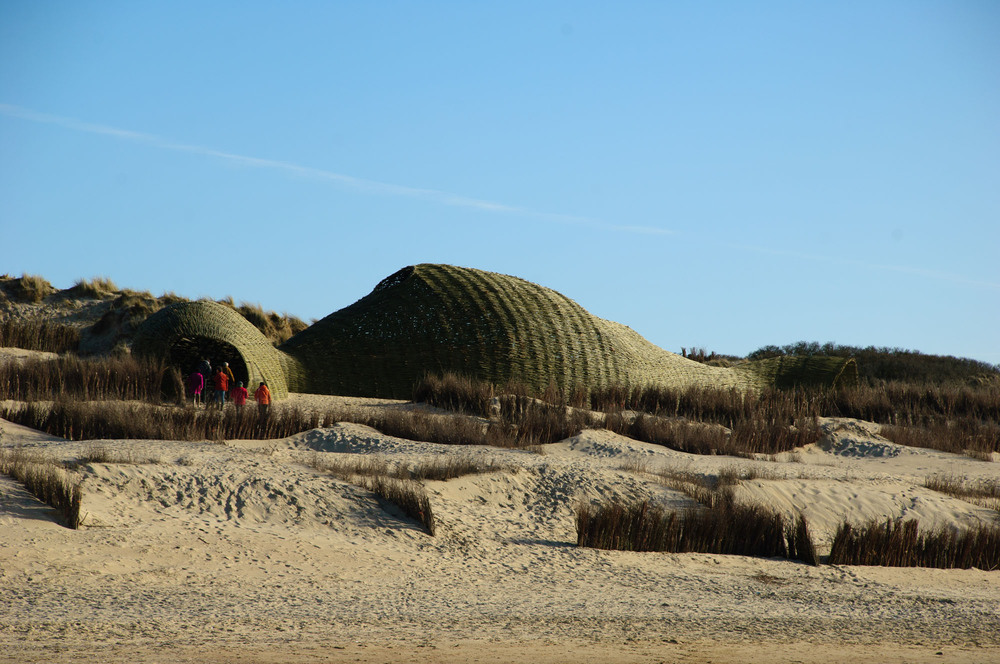 15_Sandworm_Marco Casagrande_2012_112.jpg