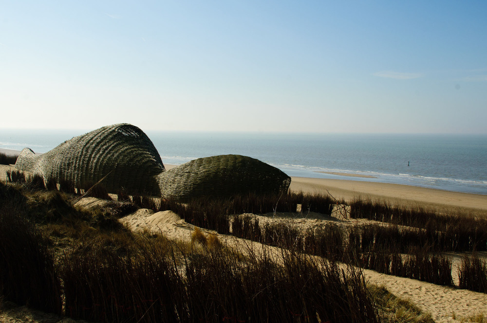 1_Sandworm_Marco Casagrande_2012_003.jpg