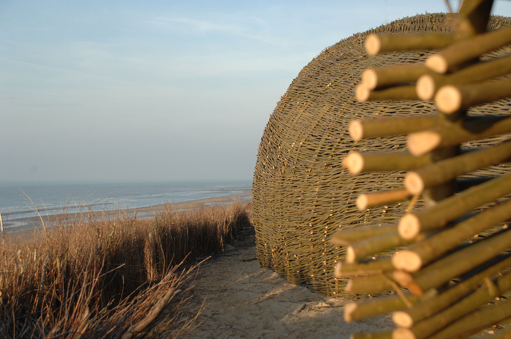 2_Sandworm_Marco Casagrande_2012_006.jpg