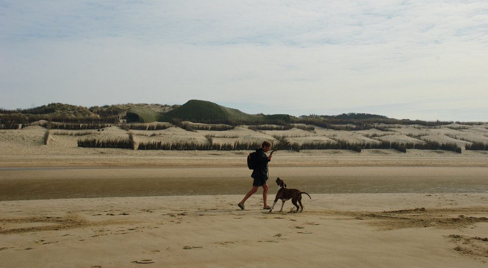 3_Sandworm_Marco Casagrande_2012_008.jpg