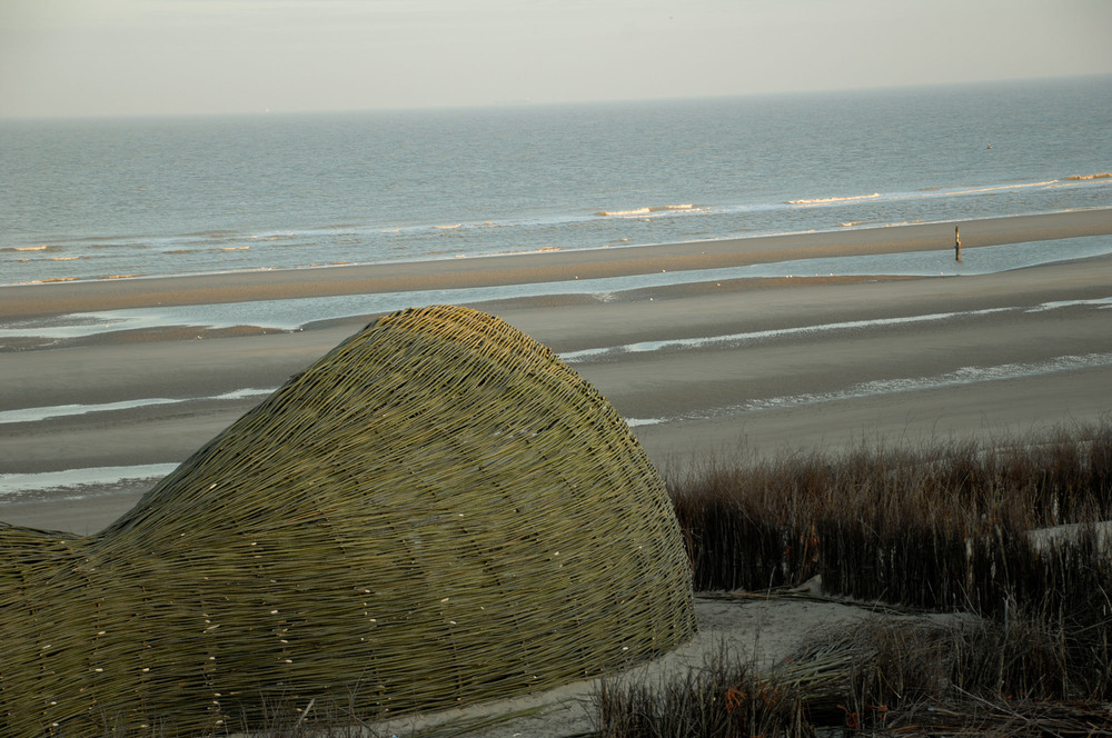 4_Sandworm_Marco Casagrande_2012_011.jpg