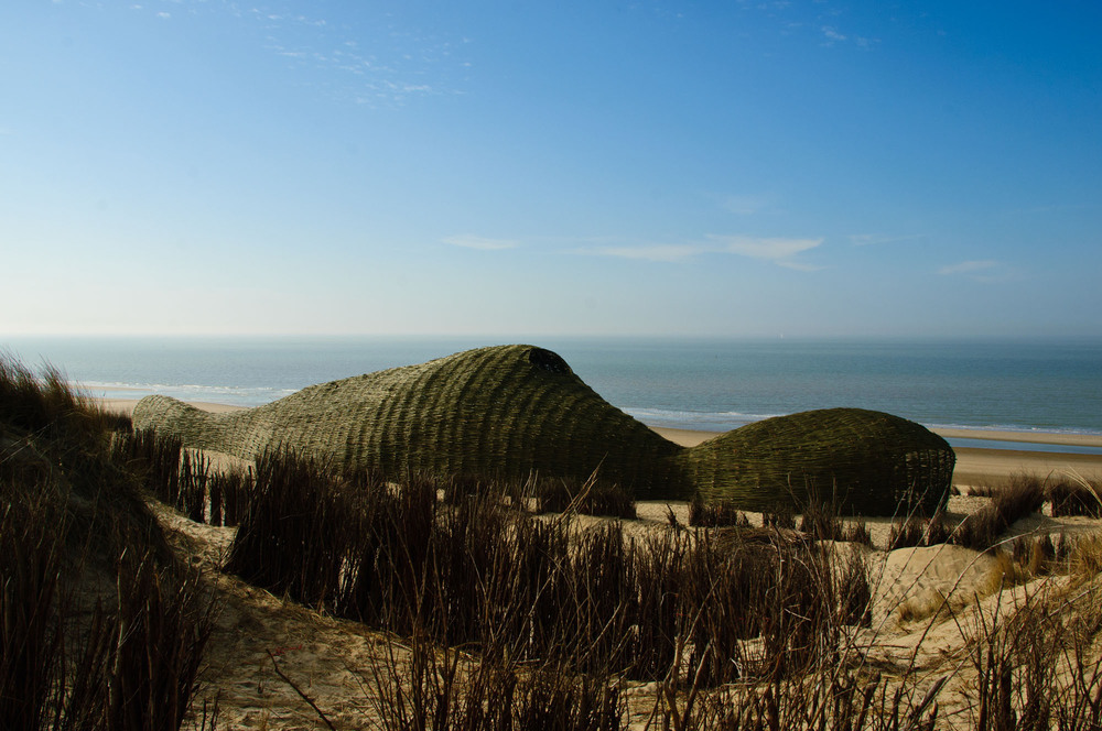 5_Sandworm_Marco Casagrande_2012_014.jpg