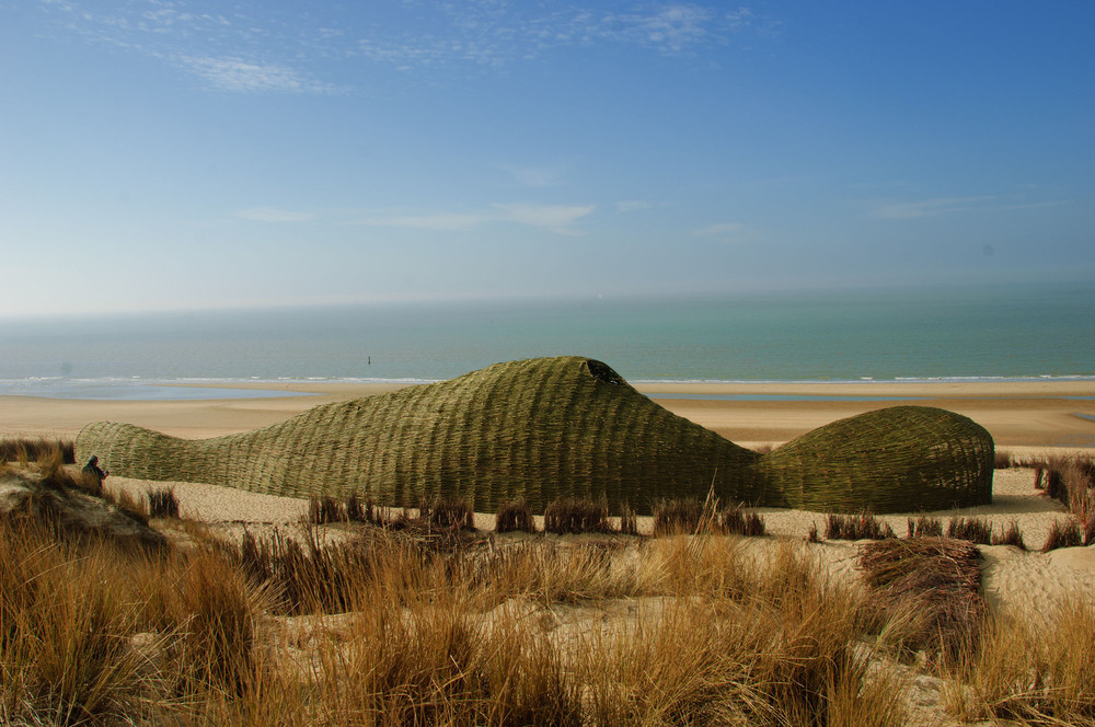 6_Sandworm_Marco Casagrande_2012_030.jpg