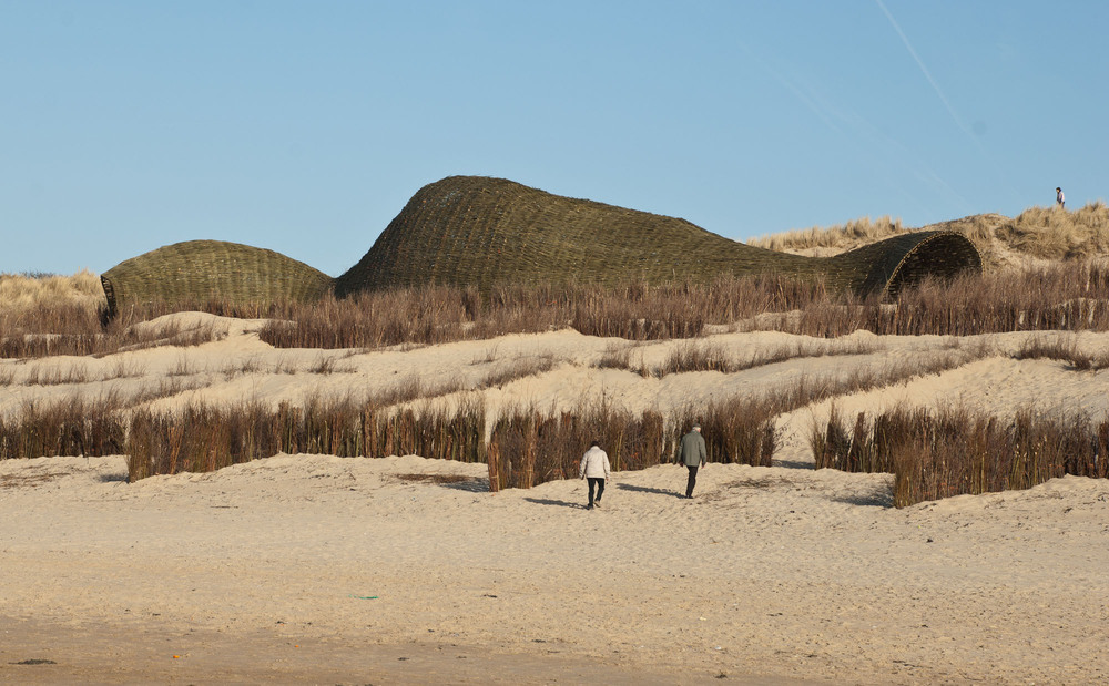 Sandworm_Marco Casagrande_2012_074.jpg