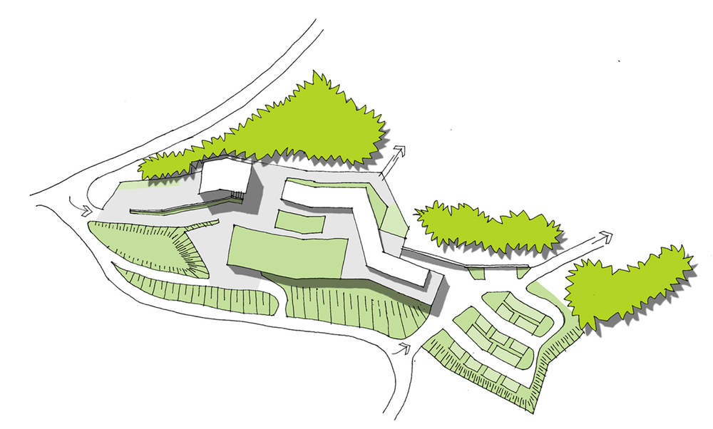 croquis_situ_vegetacion.jpg