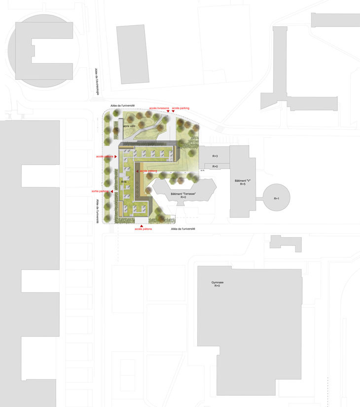 PLAN-MASSE730.jpg