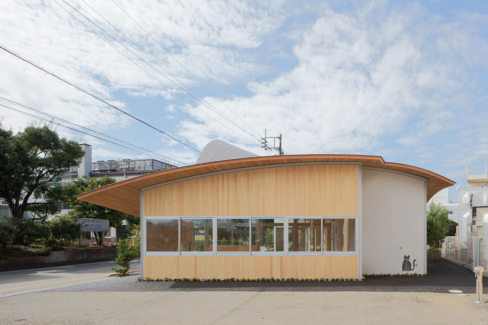 (C)Kenichi Suzuki_3.jpg