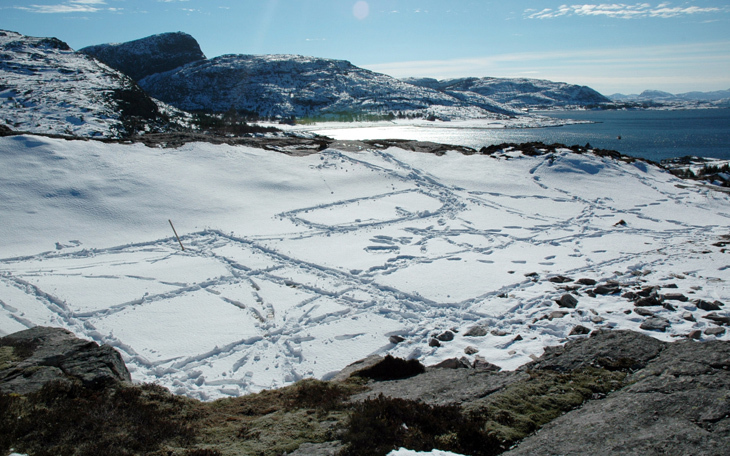 REalscale_snow_resize.jpg