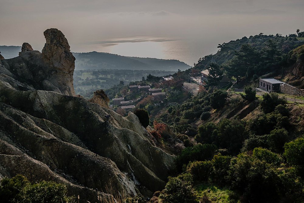 arazifoto1.jpg