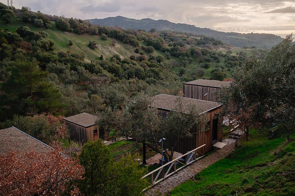 arazifoto9.jpg