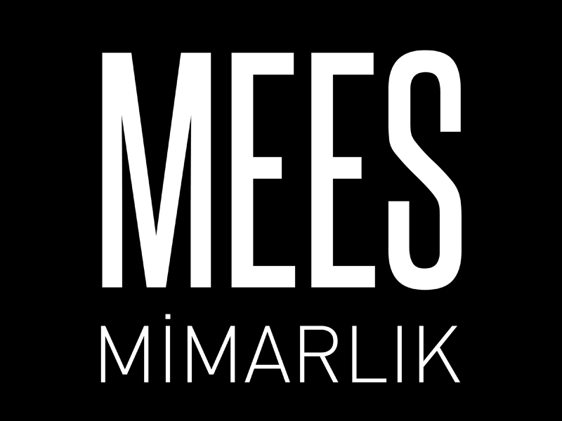 MEES_Logo.jpg