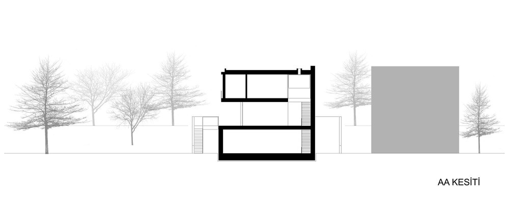 z (4).jpg