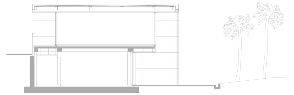 z6.jpg
