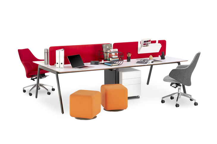 bt-design (2).jpg