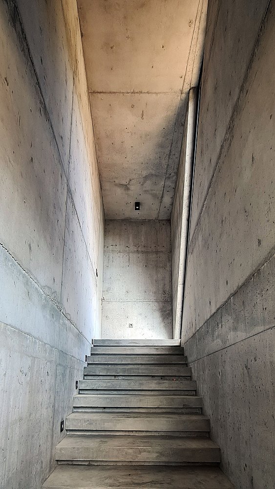 ÇMB_PHOTOS (49).jpg