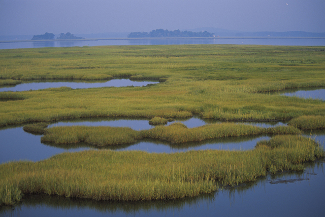 coastal-wetlands-usfws.jpg
