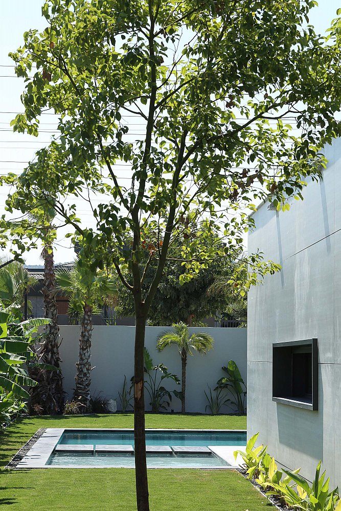 BAGO_D Evi_13.jpg