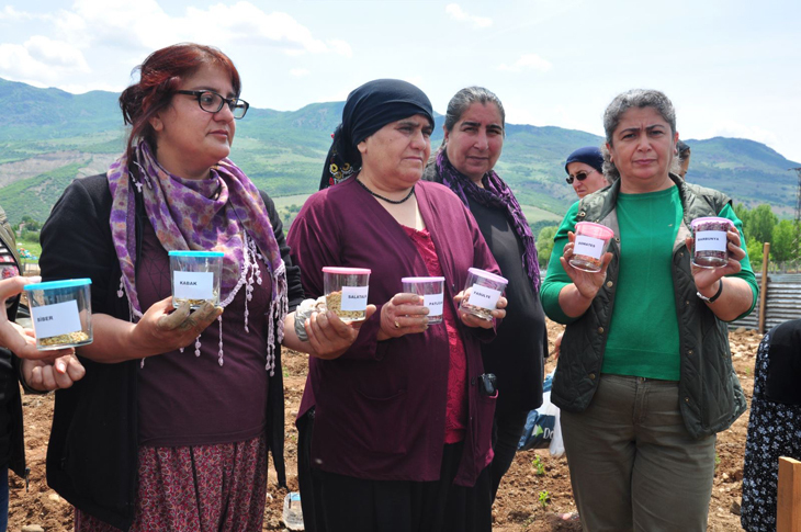 doğal-bostan-13.jpg