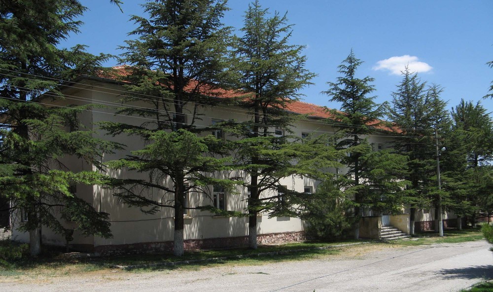 yatakhane agaclar arasındaki konumu2.jpg
