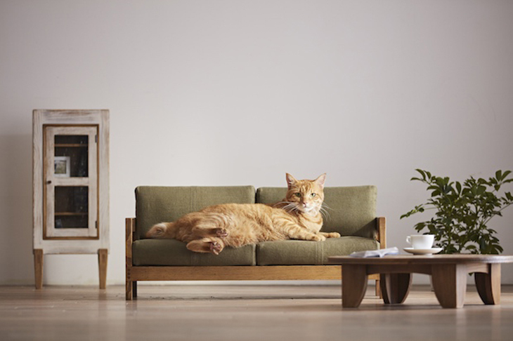 japan-miniature-furniture-cats-okawa-city-designboom-1730.jpg