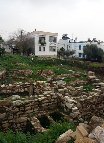 Foto 1_res (2).jpg