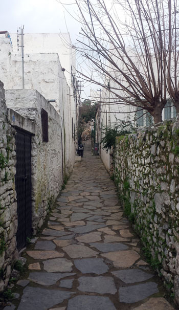 Foto 1_res (9).jpg