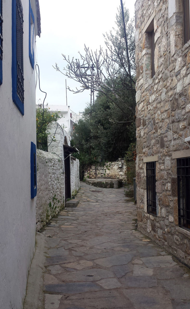 Foto 8.jpg