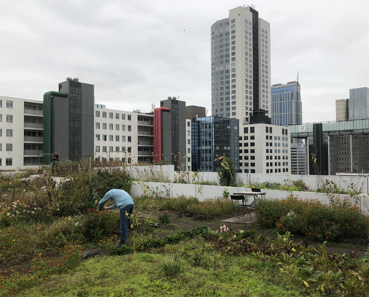 Rotterdam_resize.jpg