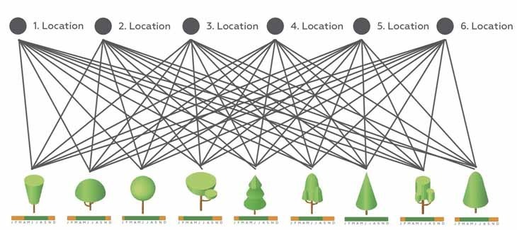 coalesence genomes.jpg
