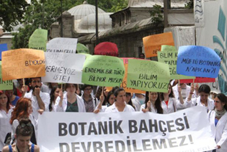 botanik1_0.jpg