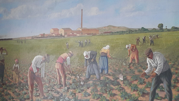 sekerfabrikasi04.jpg