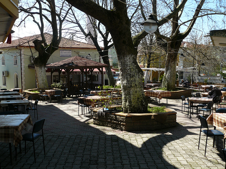 resim_5_Dilovası_köy_2015_nisan_AyseNurAlbayrak.jpg