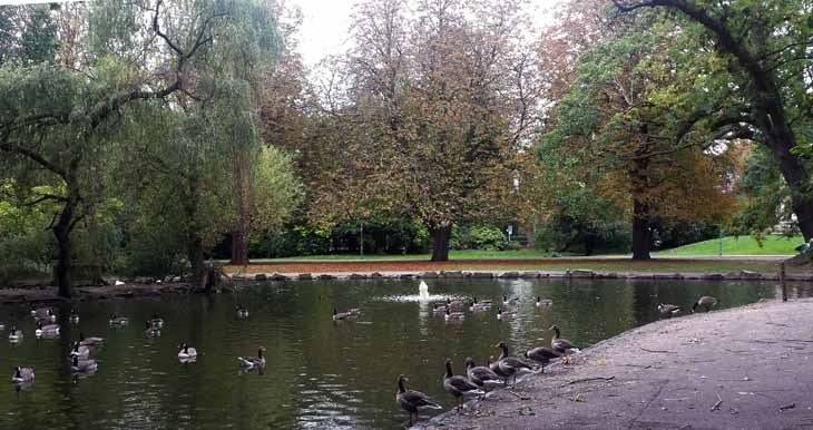 Foto17a.jpg