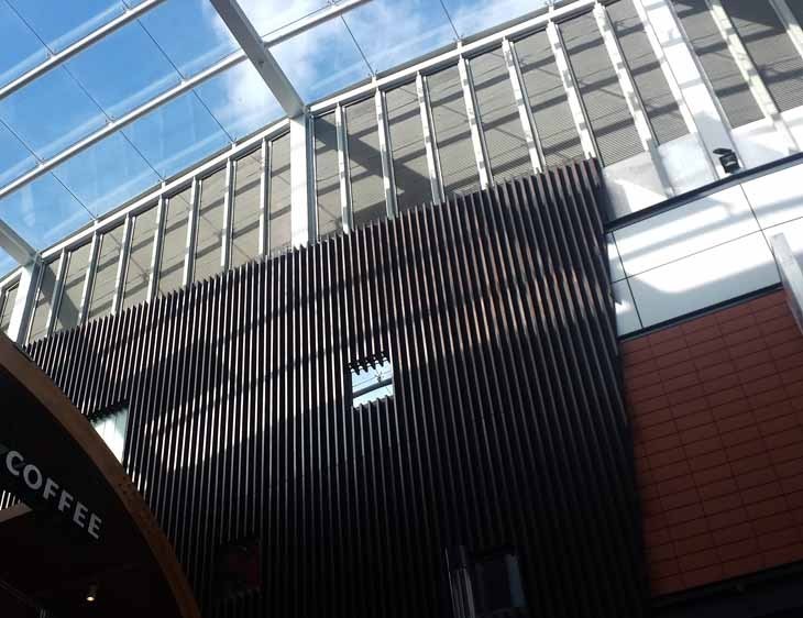 Foto7.jpg