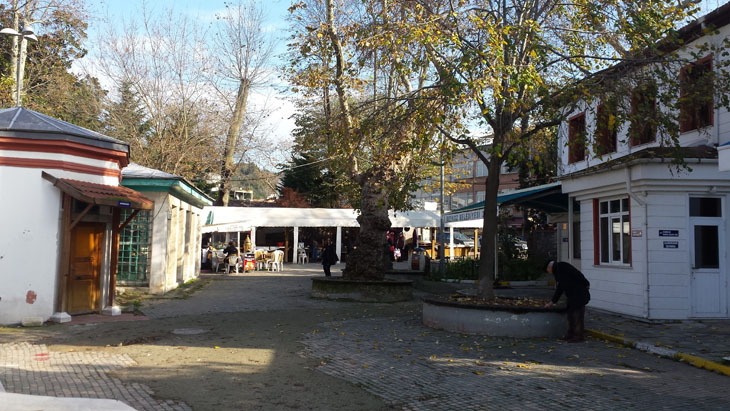 20171126_104610.jpg