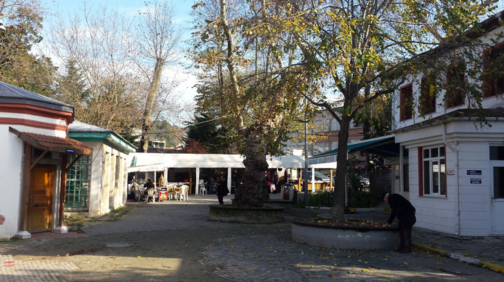 Foto 5-c.jpg