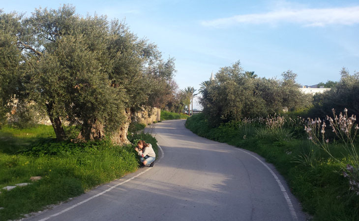 Fotoğraf 5.jpg