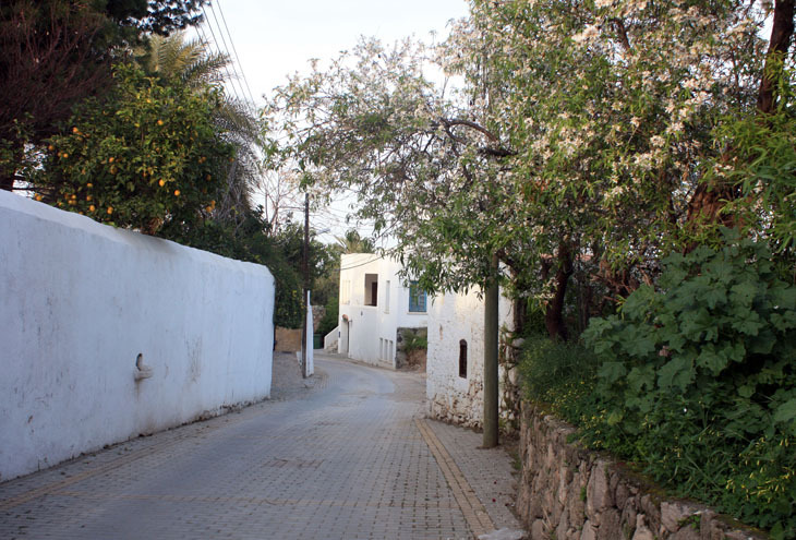 Fotoğraf 8.jpg
