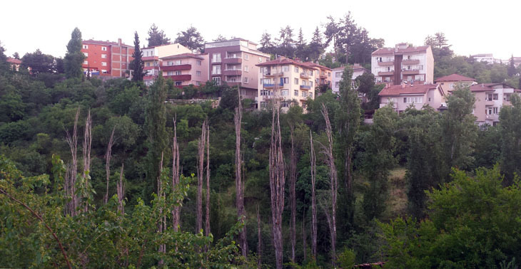Foto6b.jpg