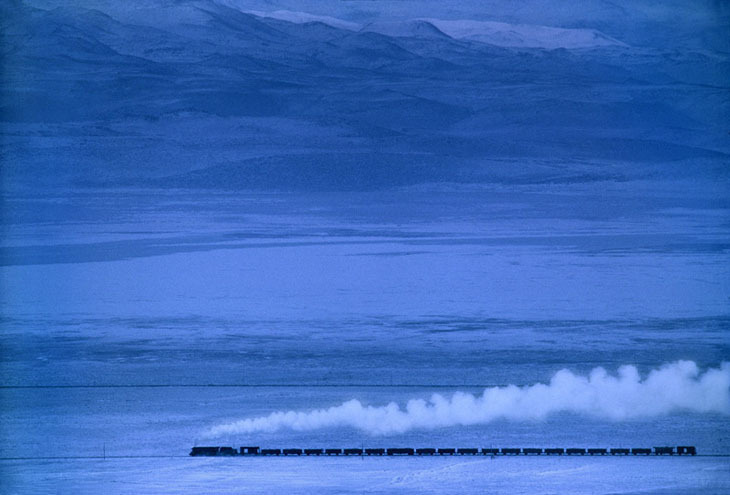 TREN.jpg