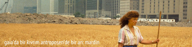cropped-agnesbaslc4b1klc4b1.jpg