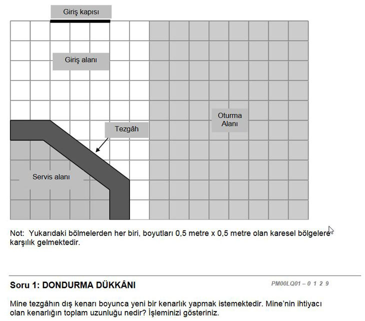 PISA-dondurma-soru.jpg