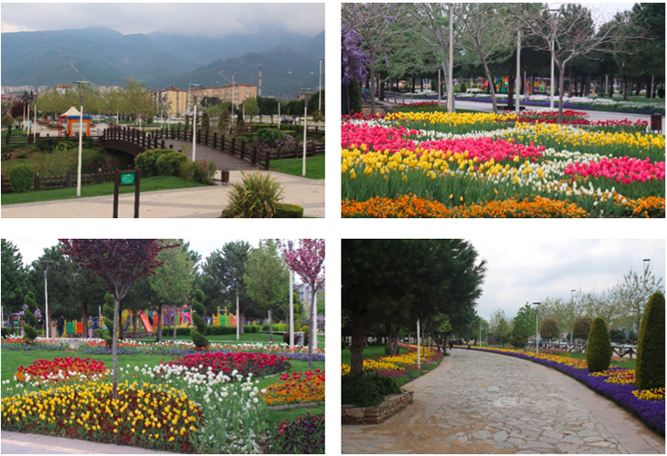peyzaj8.jpg