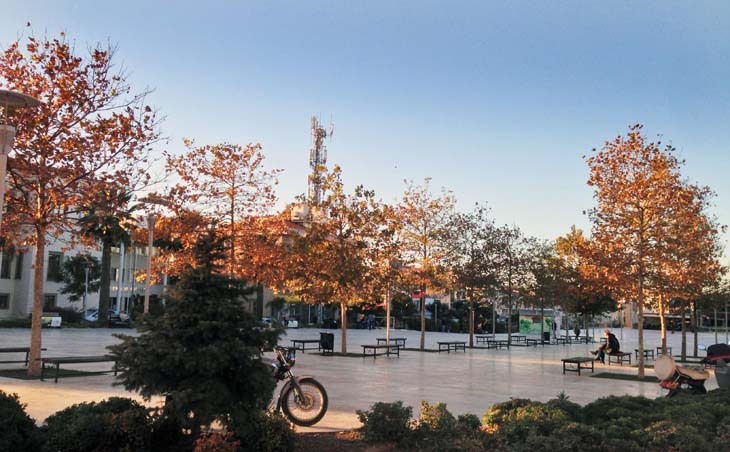 urla meydan avm cinar agaclari.jpg