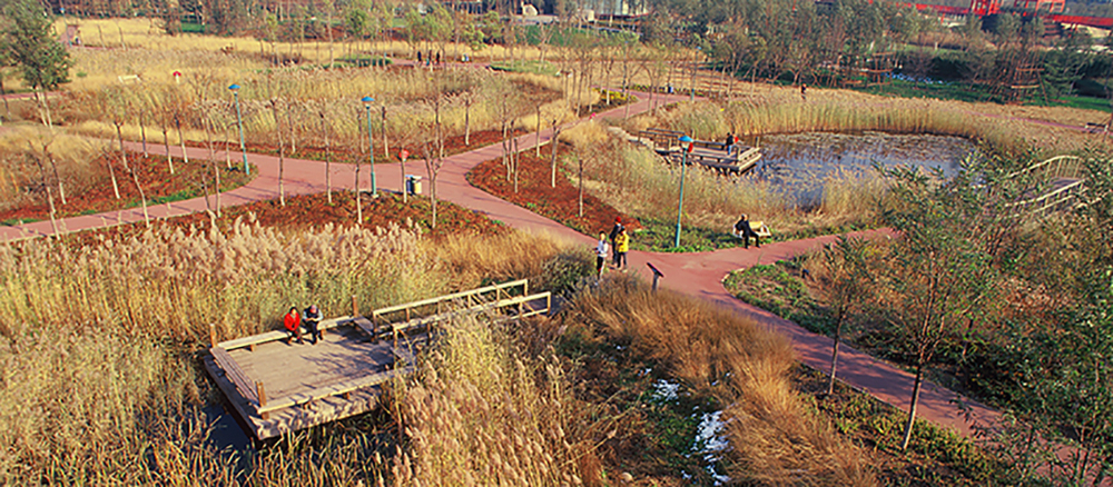 tianjin qiaoyuan park.jpg