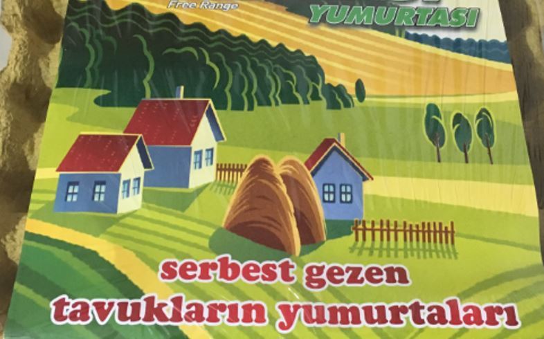 yumurta.JPG