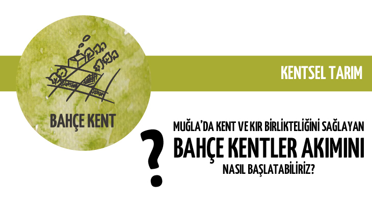 13proje-01.jpg