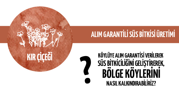 13proje-11.jpg