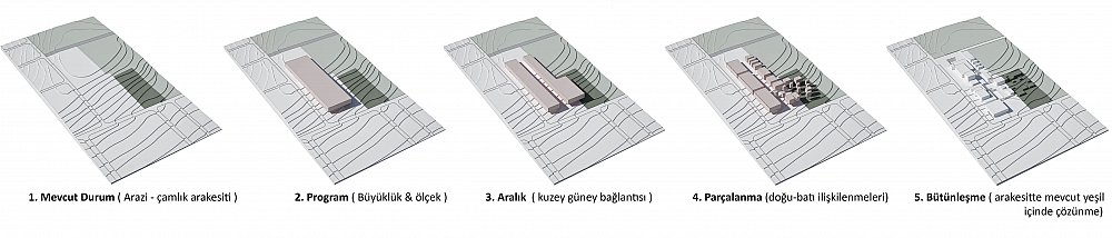 luleburgaz ikikerebir (2).jpg
