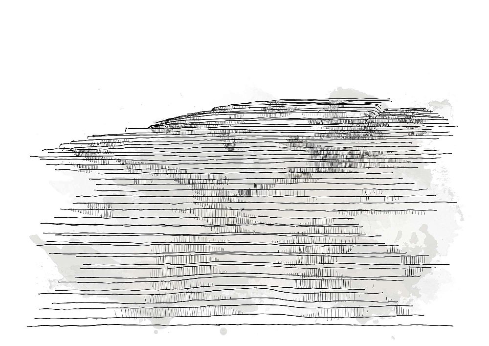 NEF-01.jpg